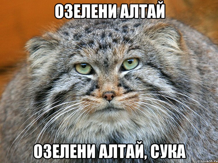 озелени алтай озелени алтай, сука