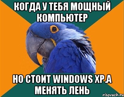 Когда у тебя мощный компьютер Но стоит Windows XP.а менять лень, Мем Попугай параноик