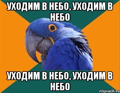 Уходим в небо, уходим в небо Уходим в небо, уходим в небо, Мем Попугай параноик