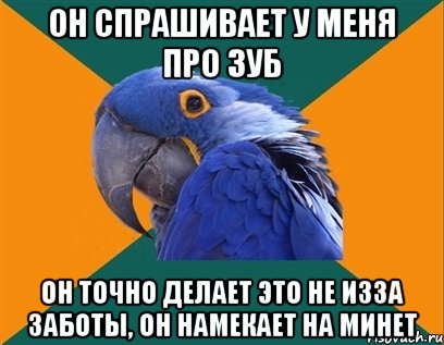 он спрашивает у меня про зуб он точно делает это не изза заботы, он намекает на минет, Мем Попугай параноик