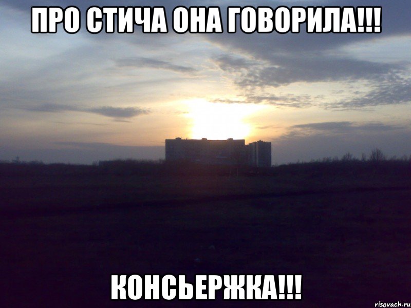 Про Стича она говорила!!! Консьержка!!!