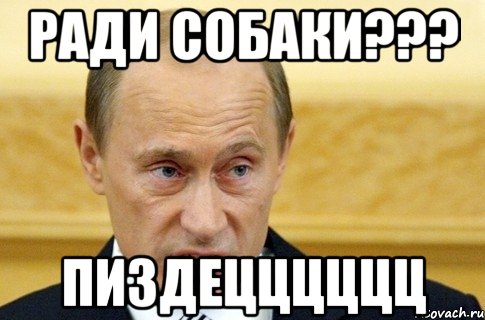 РАДИ СОБАКИ??? ПИЗДЕЦЦЦЦЦЦ, Мем путин