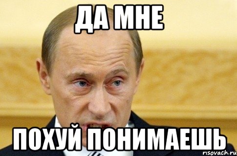 да мне похуй понимаешь, Мем путин