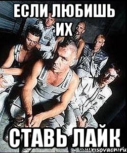 Если любишь их Ставь лайк, Мем rammstein