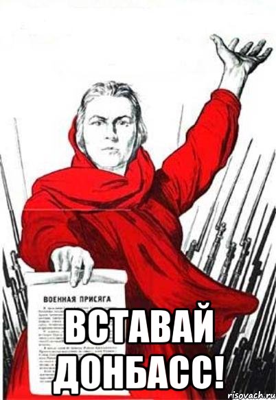  Вставай Донбасс!, Мем Родина Мать