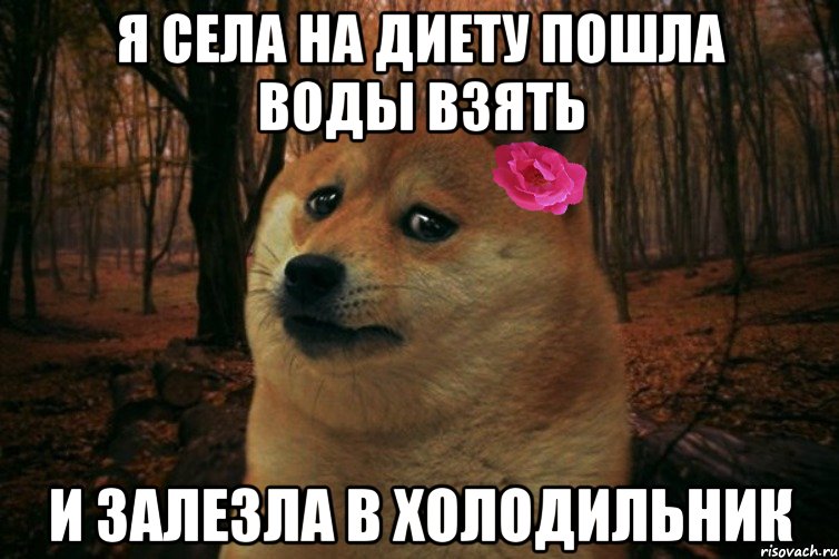 Я села на диету пошла воды взять И залезла в холодильник, Мем  SAD DOGE GIRL