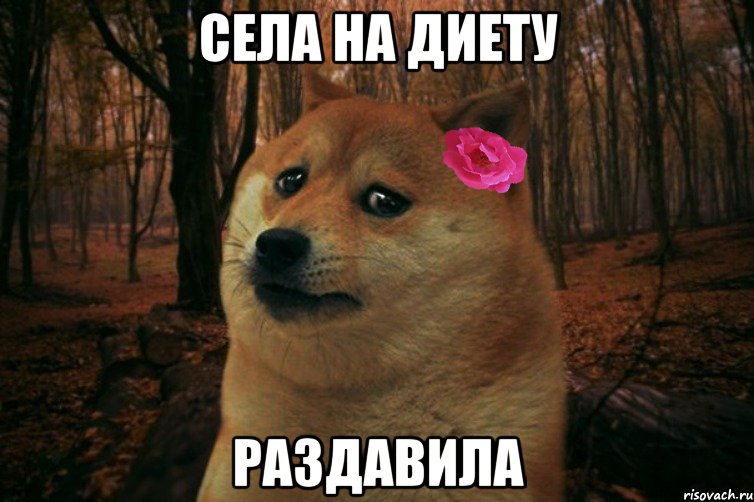 села на диету раздавила, Мем  SAD DOGE GIRL