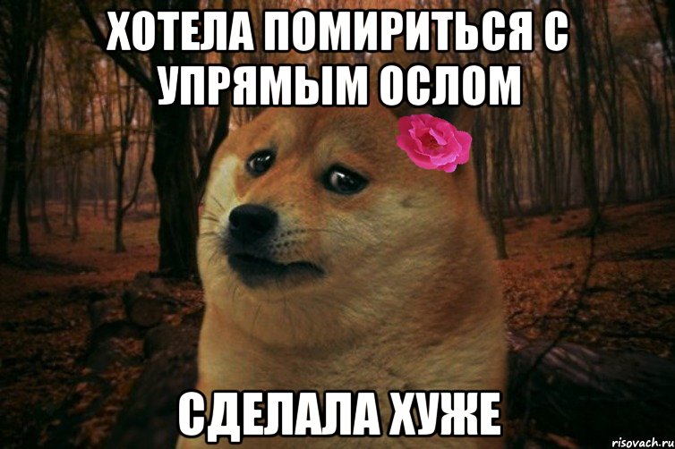 ХОТЕЛА ПОМИРИТЬСЯ С УПРЯМЫМ ОСЛОМ СДЕЛАЛА ХУЖЕ, Мем  SAD DOGE GIRL