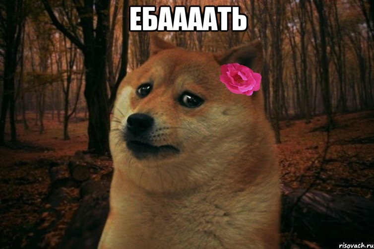 Ебаааать , Мем  SAD DOGE GIRL