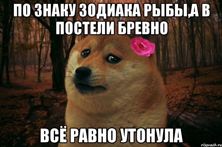 По знаку зодиака рыбы,а в постели бревно Всё равно утонула, Мем  SAD DOGE GIRL