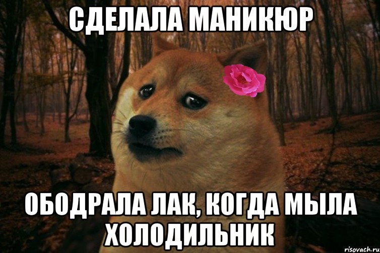 Сделала маникюр Ободрала лак, когда мыла холодильник, Мем  SAD DOGE GIRL