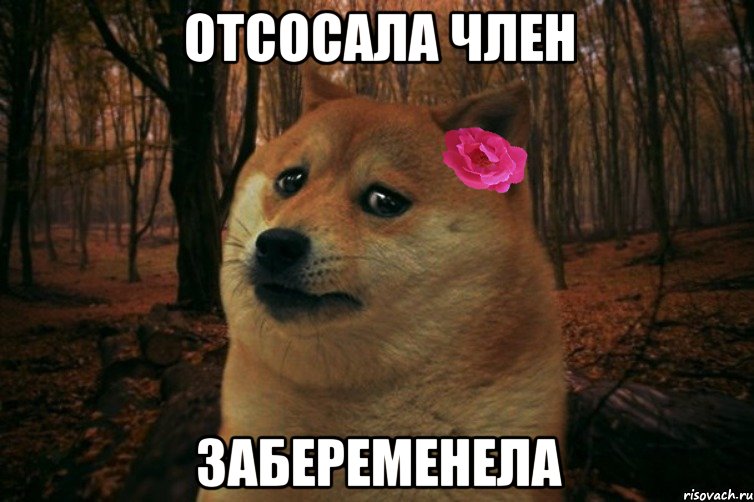 ОТСОСАЛА ЧЛЕН ЗАБЕРЕМЕНЕЛА, Мем  SAD DOGE GIRL