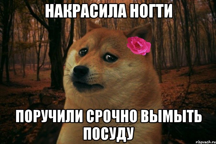 накрасила ногти поручили срочно вымыть посуду, Мем  SAD DOGE GIRL