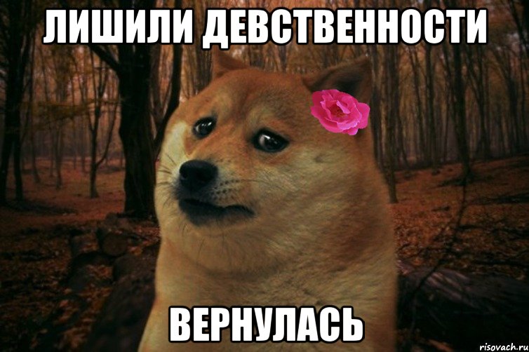 лишили девственности вернулась, Мем  SAD DOGE GIRL