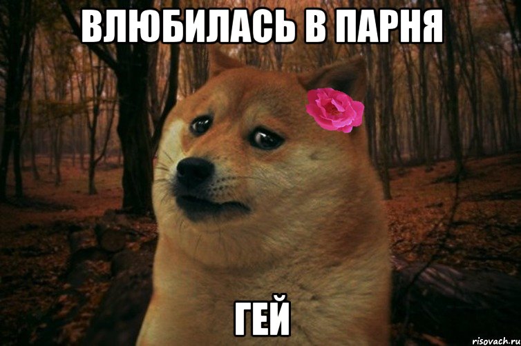 Влюбилась в парня Гей, Мем  SAD DOGE GIRL