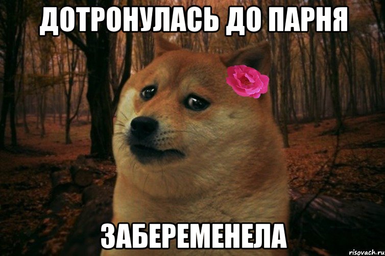 Дотронулась до парня Забеременела, Мем  SAD DOGE GIRL