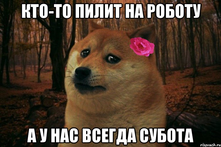 Кто-то пилит на роботу а у нас всегда субота, Мем  SAD DOGE GIRL