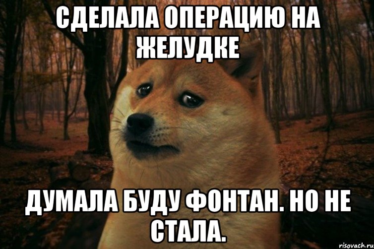 Сделала операцию на желудке Думала буду фонтан. Но не стала., Мем SAD DOGE