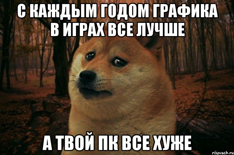 с каждым годом графика в играх все лучше а твой пк все хуже, Мем SAD DOGE