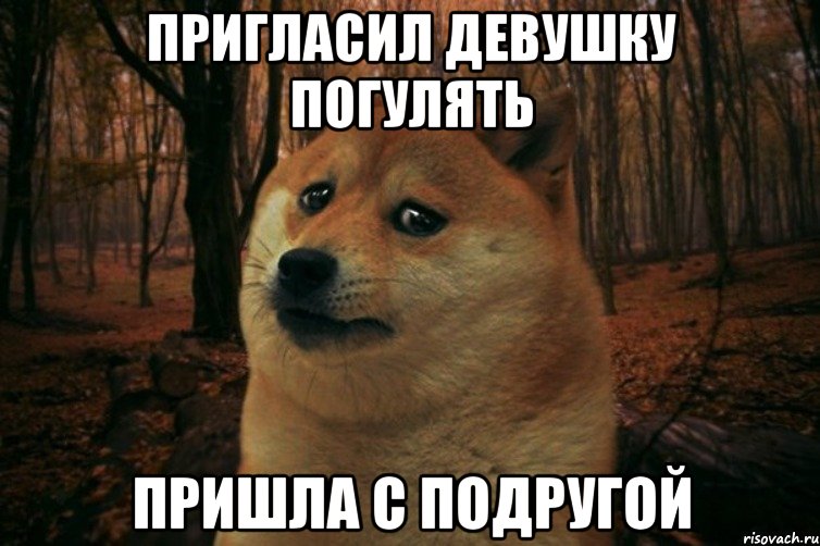 Пригласил девушку погулять пришла с подругой, Мем SAD DOGE