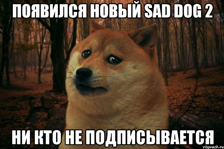 Появился новый SAD DOG 2 ни кто не подписывается, Мем SAD DOGE