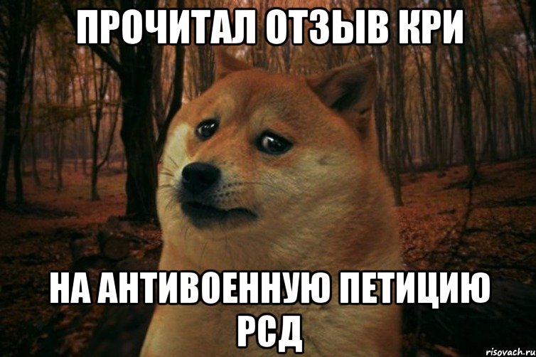 прочитал отзыв кри на антивоенную петицию рсд, Мем SAD DOGE