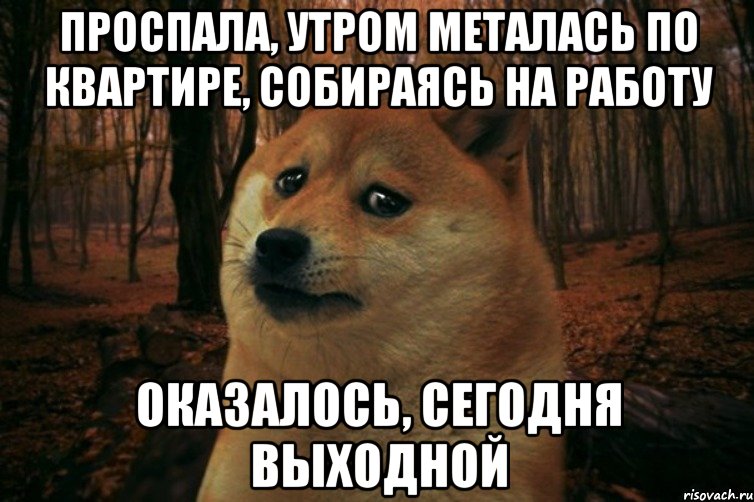 ПРОСПАЛА, УТРОМ МЕТАЛАСЬ ПО КВАРТИРЕ, СОБИРАЯСЬ НА РАБОТУ ОКАЗАЛОСЬ, СЕГОДНЯ ВЫХОДНОЙ, Мем SAD DOGE