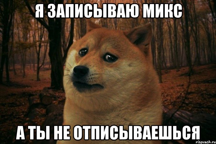 я записываю микс а ты не отписываешься, Мем SAD DOGE