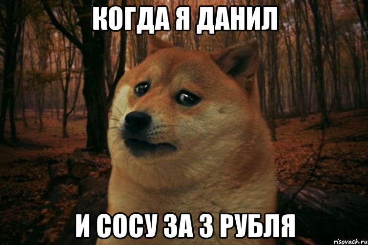 Когда я Данил и сосу за 3 рубля, Мем SAD DOGE