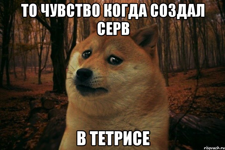 То чувство когда создал серв В тетрисе, Мем SAD DOGE