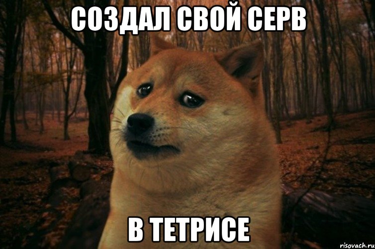 Создал свой серв в тетрисе, Мем SAD DOGE