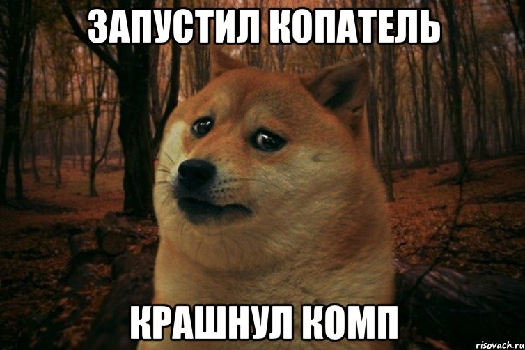 Запустил копатель Крашнул комп, Мем SAD DOGE