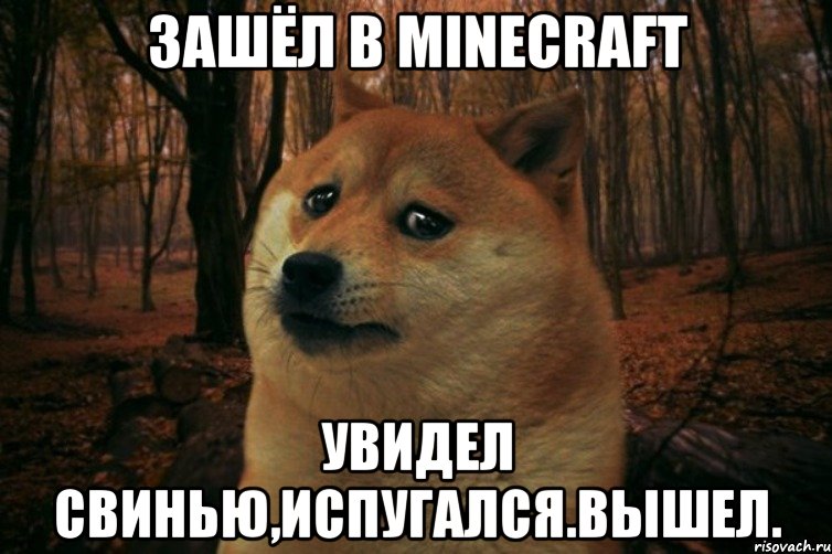 Зашёл в Minecraft Увидел свинью,испугался.Вышел., Мем SAD DOGE