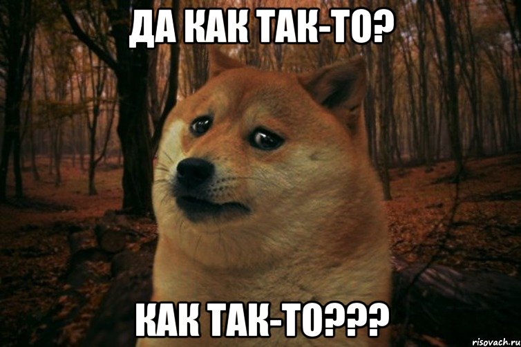 Да как так-то? Как так-то???, Мем SAD DOGE