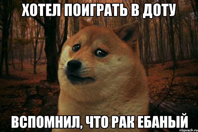 Хотел поиграть в доту вспомнил, что рак ебаный, Мем SAD DOGE