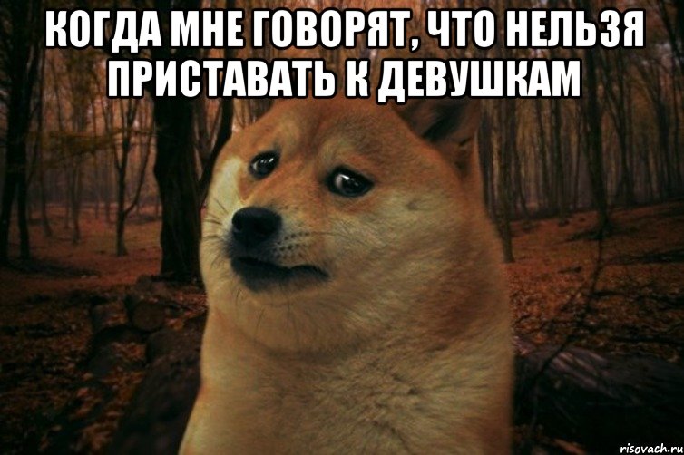 когда мне говорят, что нельзя приставать к девушкам , Мем SAD DOGE