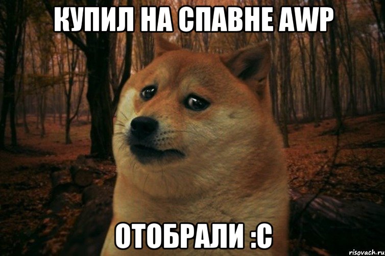 Купил на спавне AWP Отобрали :с, Мем SAD DOGE