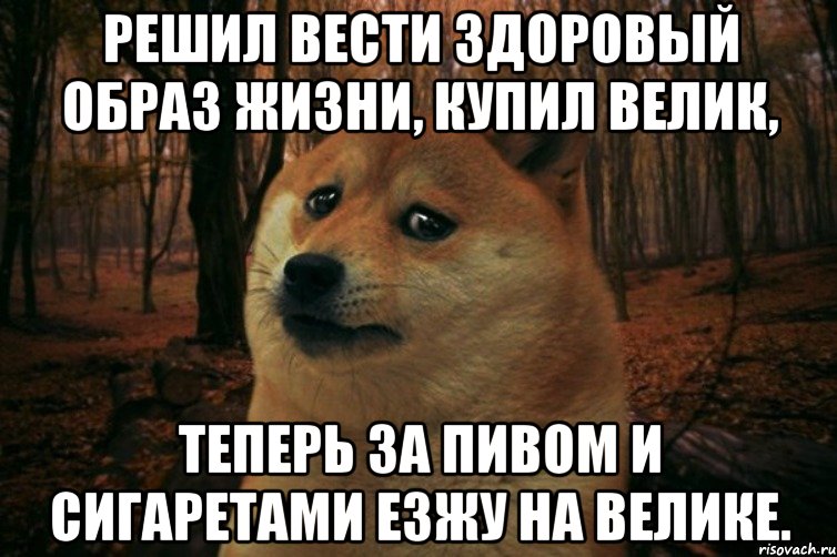 Решил вести здоровый образ жизни, купил велик, Теперь за пивом и сигаретами езжу на велике., Мем SAD DOGE