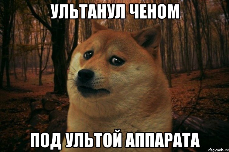 Ультанул Ченом Под ультой Аппарата, Мем SAD DOGE