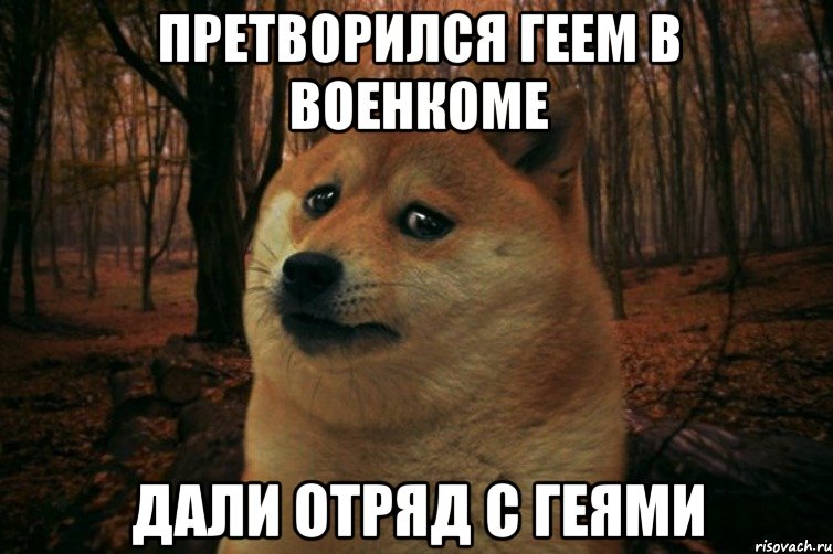 Претворился геем в военкоме Дали отряд с геями, Мем SAD DOGE