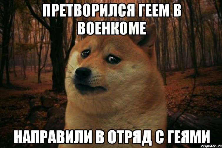 Претворился геем в военкоме Направили в отряд с геями, Мем SAD DOGE