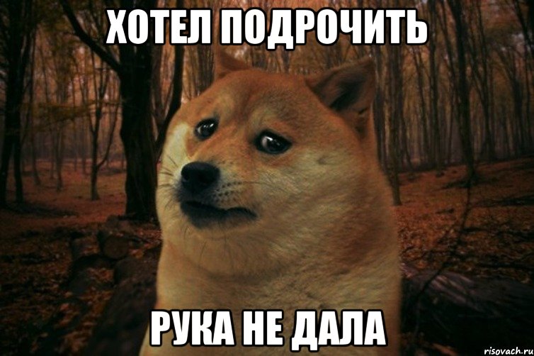 Хотел подрочить рука не дала, Мем SAD DOGE