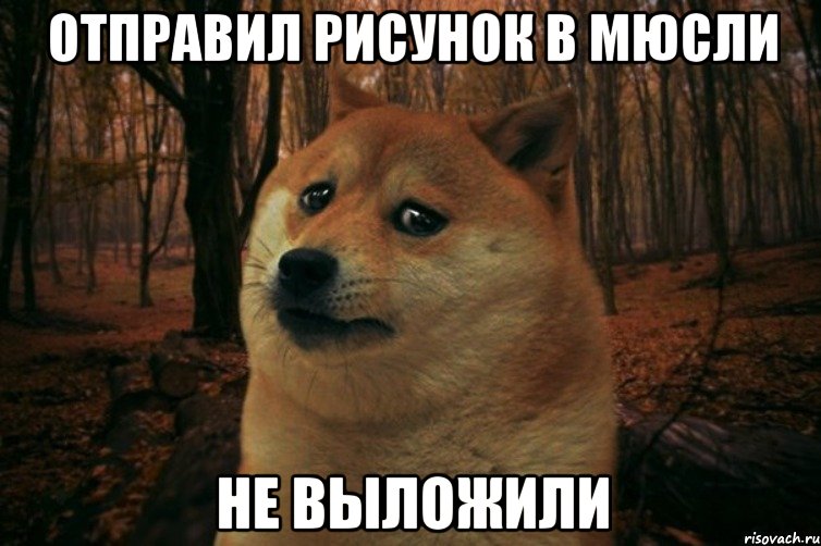 Отправил рисунок в Мюсли Не выложили, Мем SAD DOGE