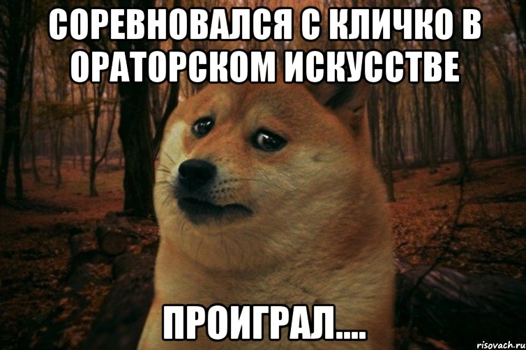 Соревновался с Кличко в ораторском искусстве проиграл...., Мем SAD DOGE