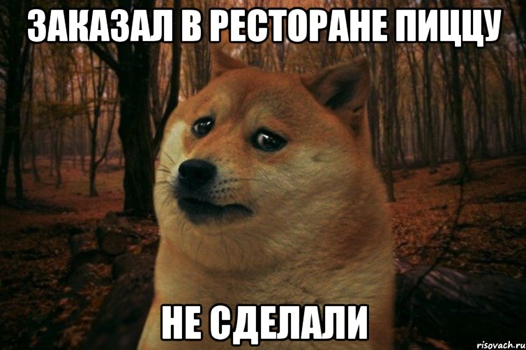 заказал в ресторане пиццу не сделали, Мем SAD DOGE