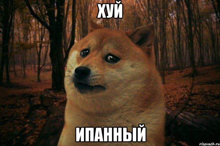 Хуй Ипанный, Мем SAD DOGE