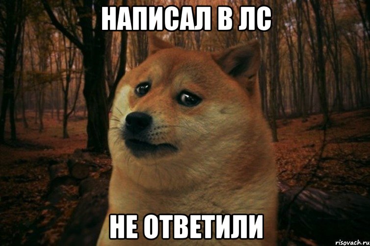 НАПИСАЛ В ЛС НЕ ОТВЕТИЛИ, Мем SAD DOGE