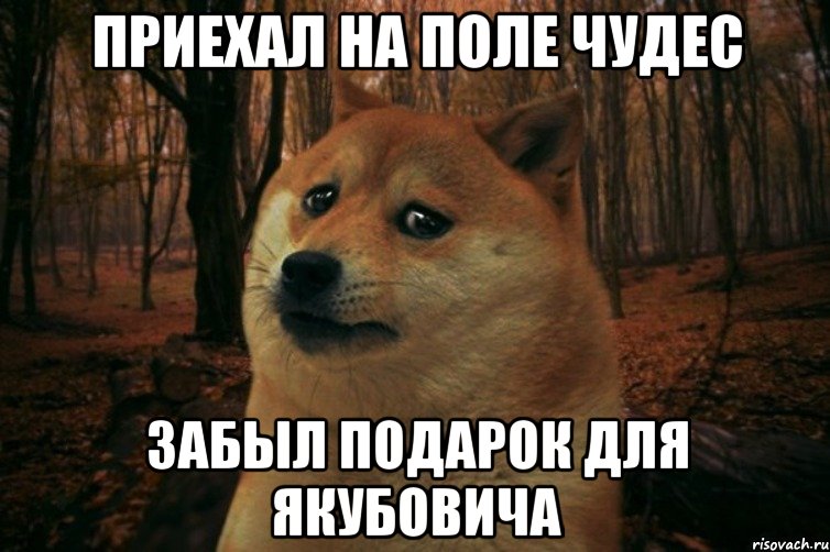 приехал на поле чудес забыл подарок для якубовича, Мем SAD DOGE