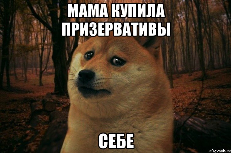 мама купила призервативы себе, Мем SAD DOGE