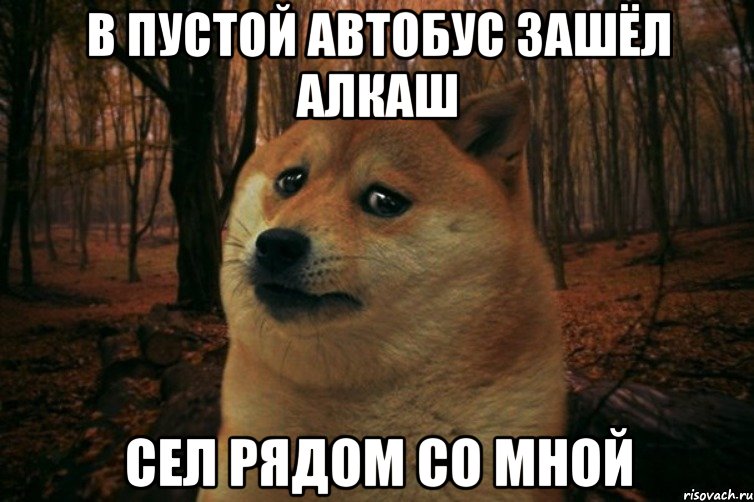 в пустой автобус зашёл алкаш сел рядом со мной, Мем SAD DOGE